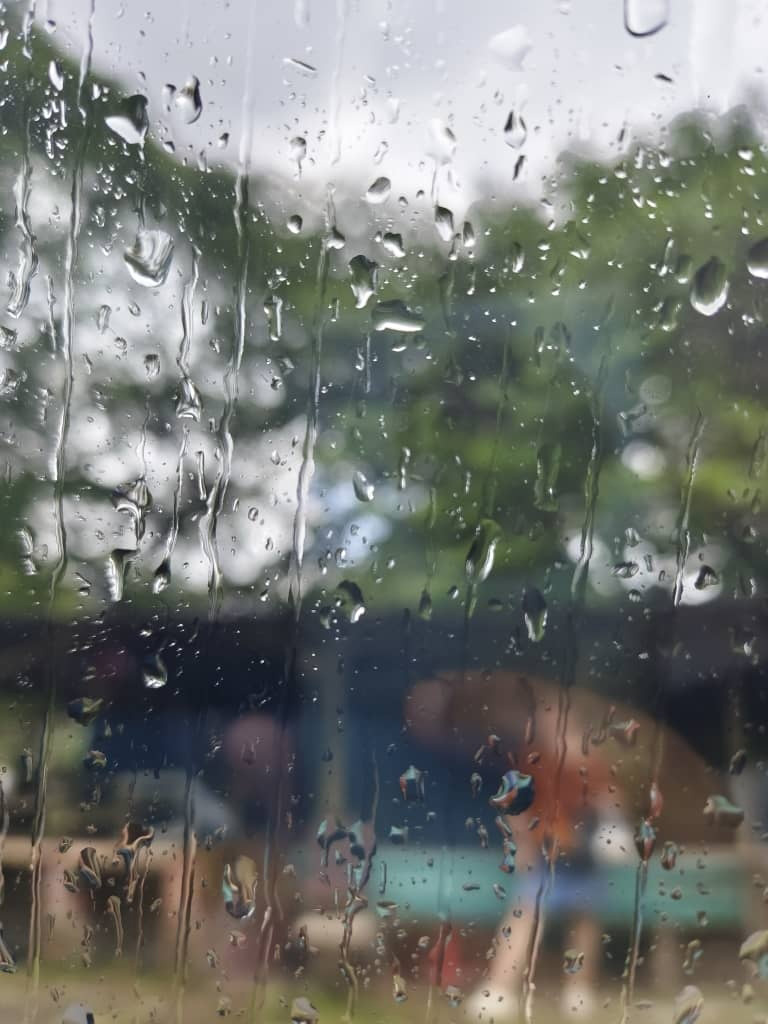 发布黄色预警 6州周五起连3天降雨