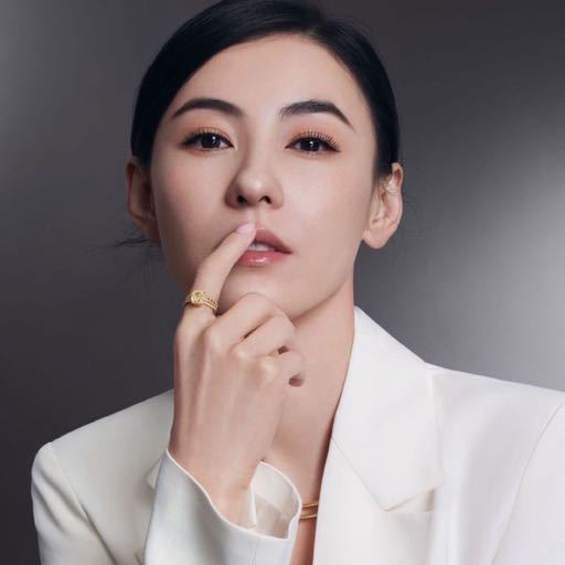 前老板撕破脸打官司 写歌讽张柏芝是狗