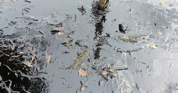 边佳兰四湾