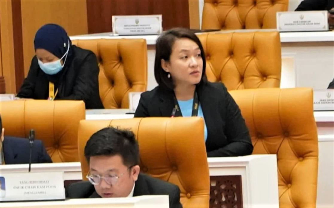 黄彩仪:保障居民生活质量 城市规划须考量气候变迁