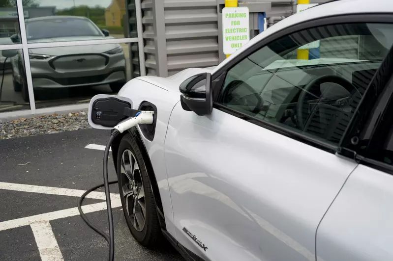 调查:最早买电动车 近三成车主想换回燃油车