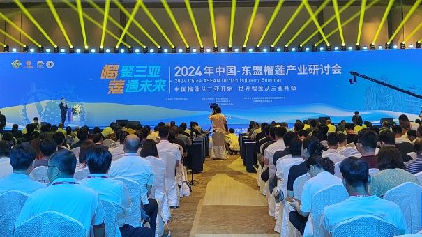 中国与东盟设榴梿科技创新联盟