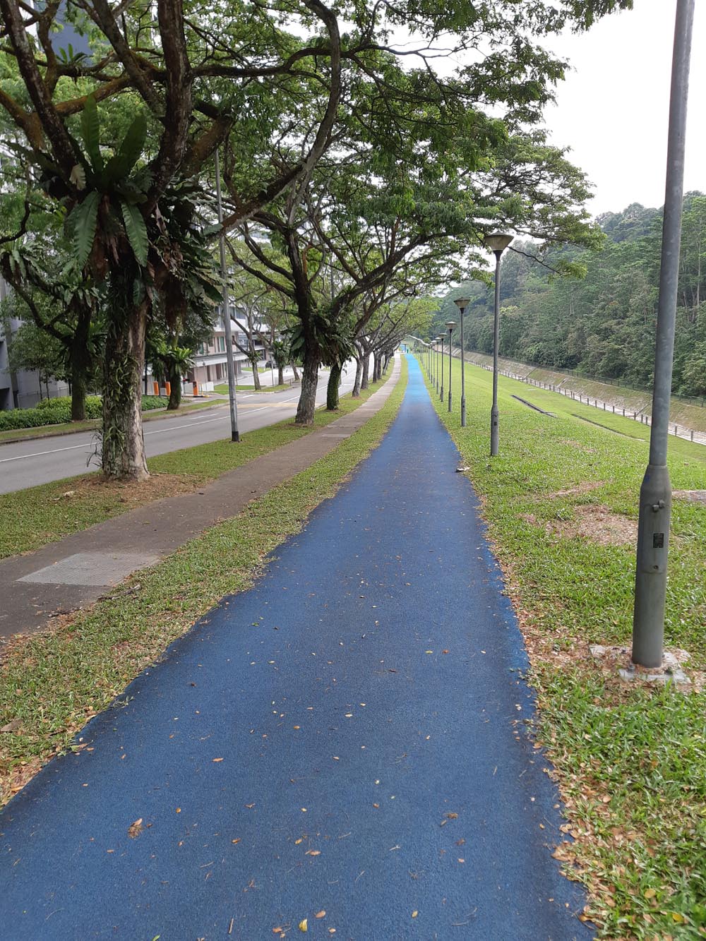 蓝色的慢跑道/文戈