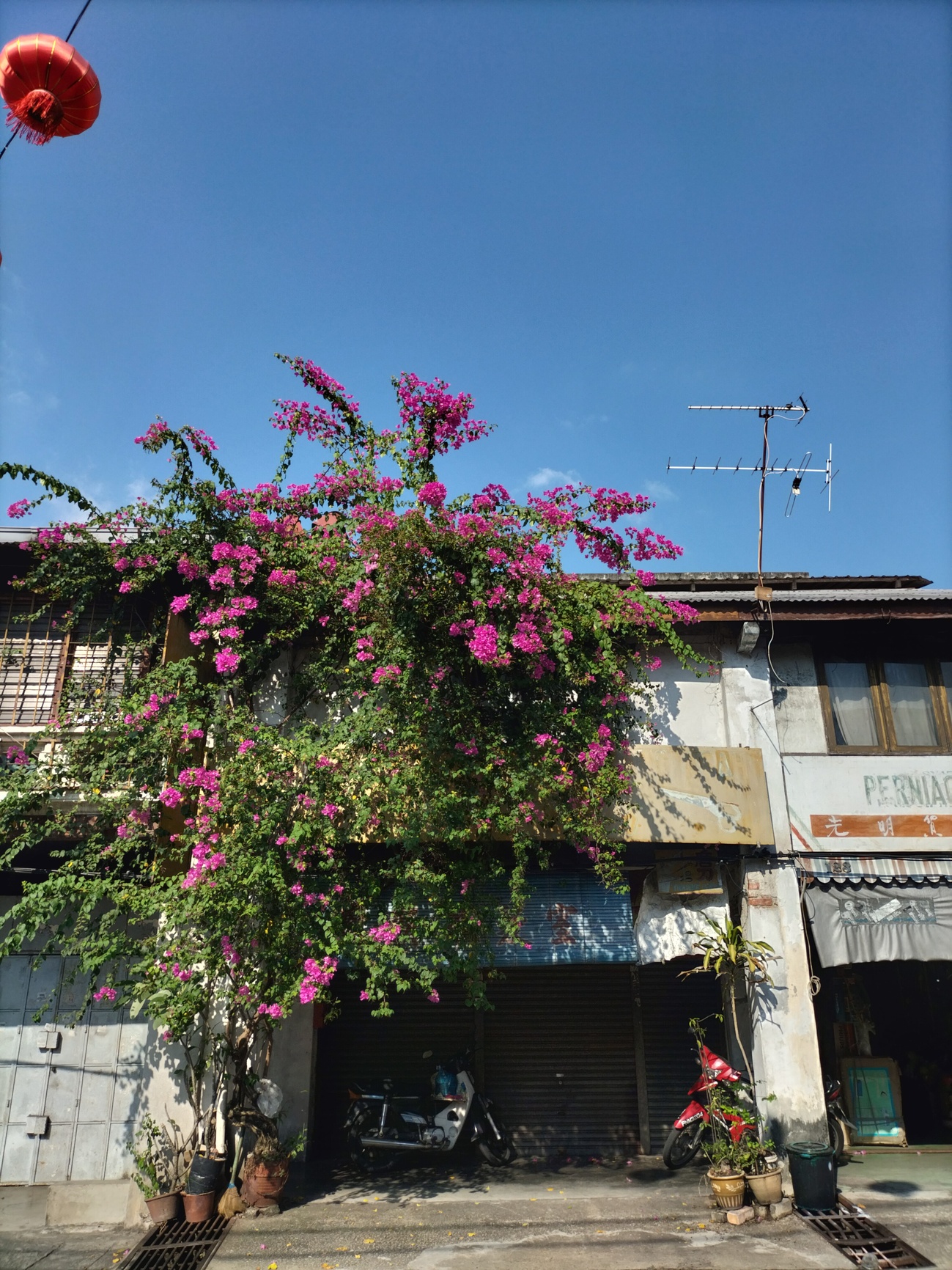 大山脚老街百年店屋