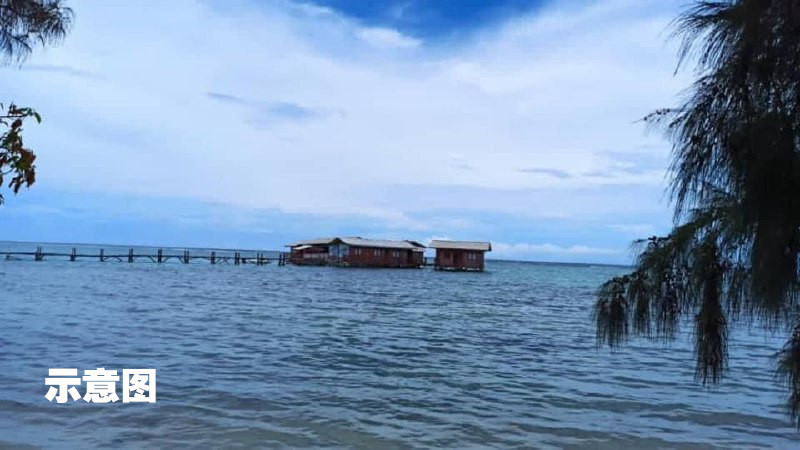 老妇上渡轮坠海 2男跳海救人
