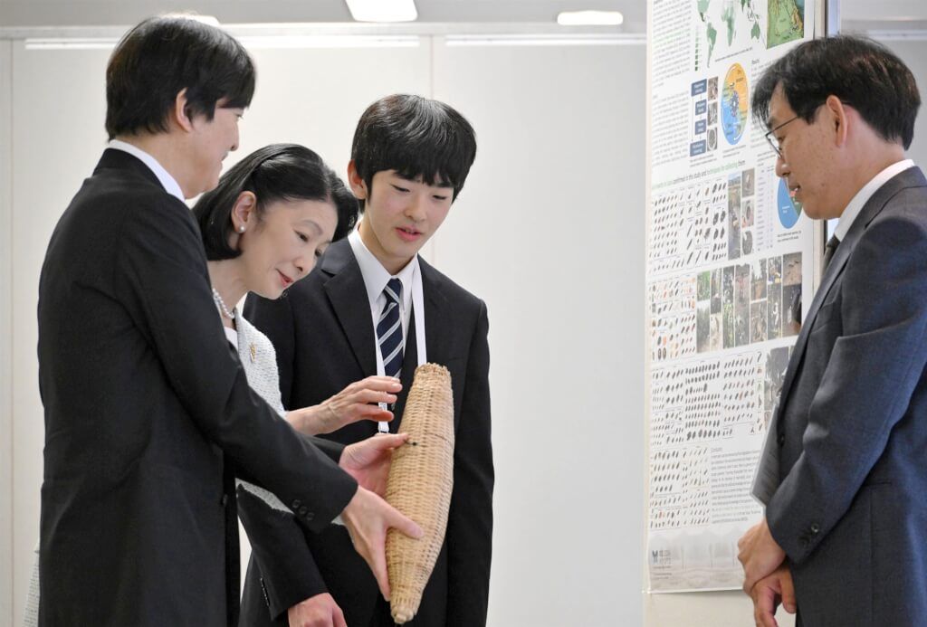 日本悠仁亲王耍特权上东大? 想靠特殊推荐 1.2万人联署反对