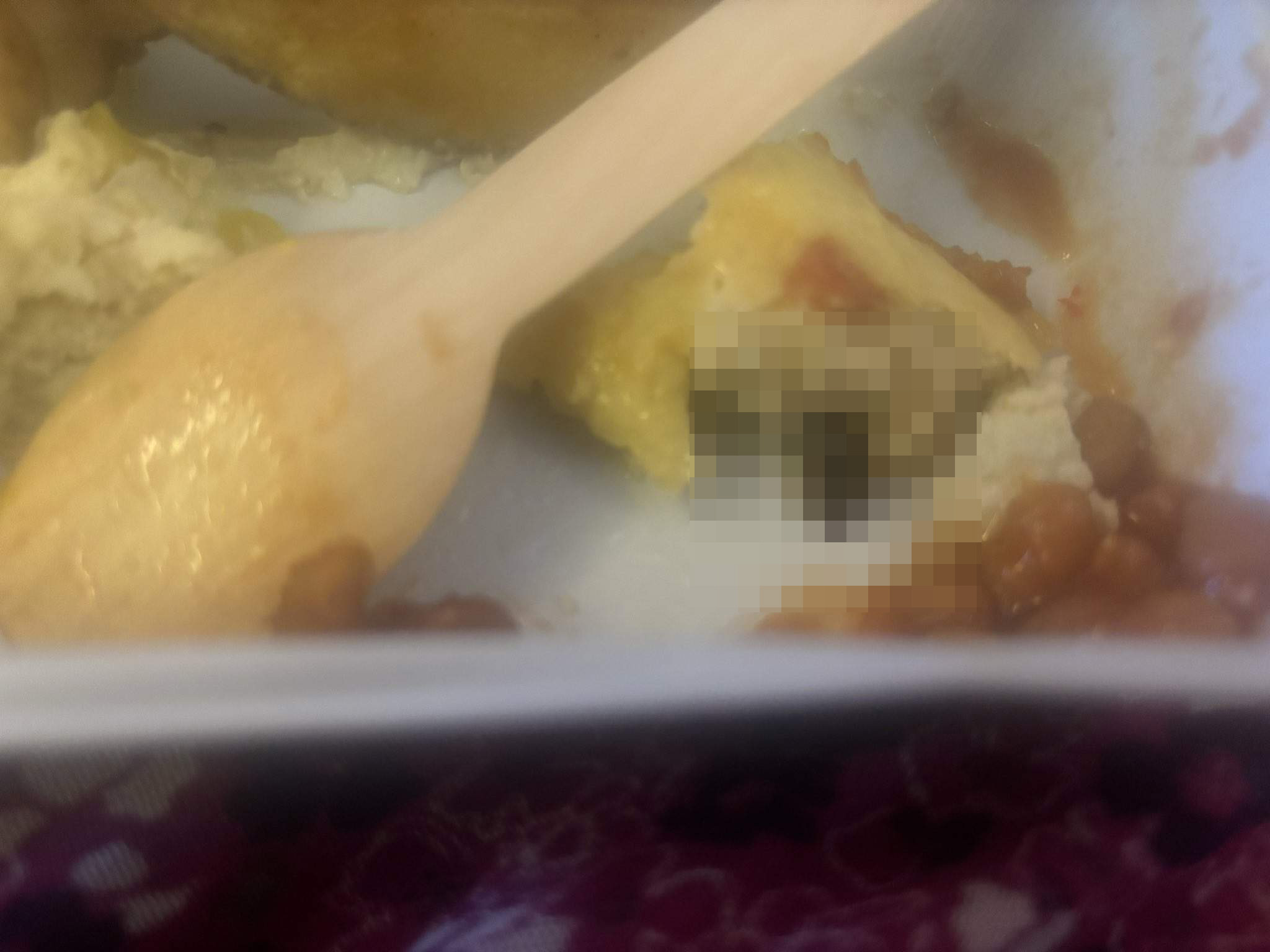 太恶心！飞机餐快吃完 惊见整只蟑螂