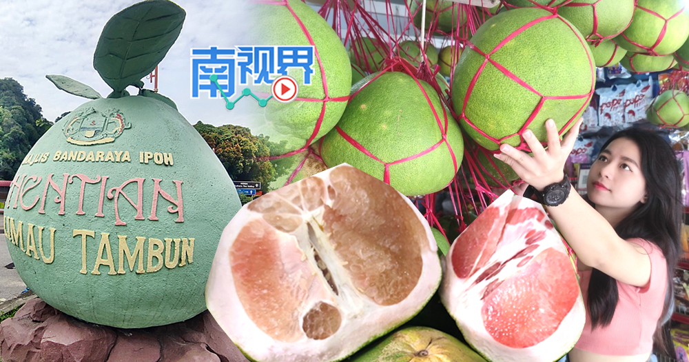 【南视界】怡保美味柚子 该如何选？