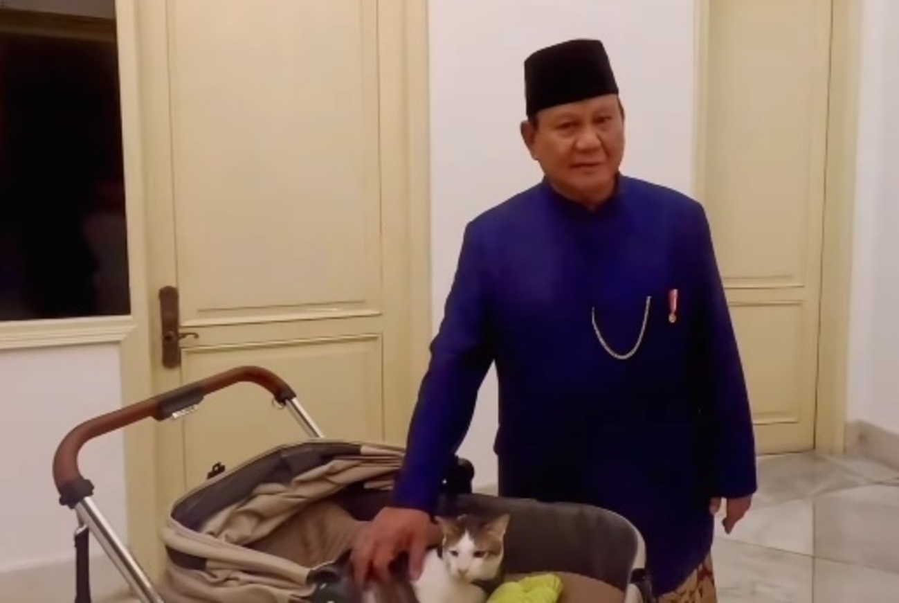 普拉博沃爱猫入住总统府 名人争与“波比”合照