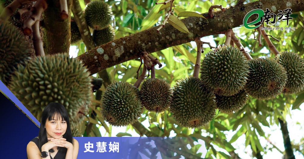当榴梿还卖80仙时/史慧娴