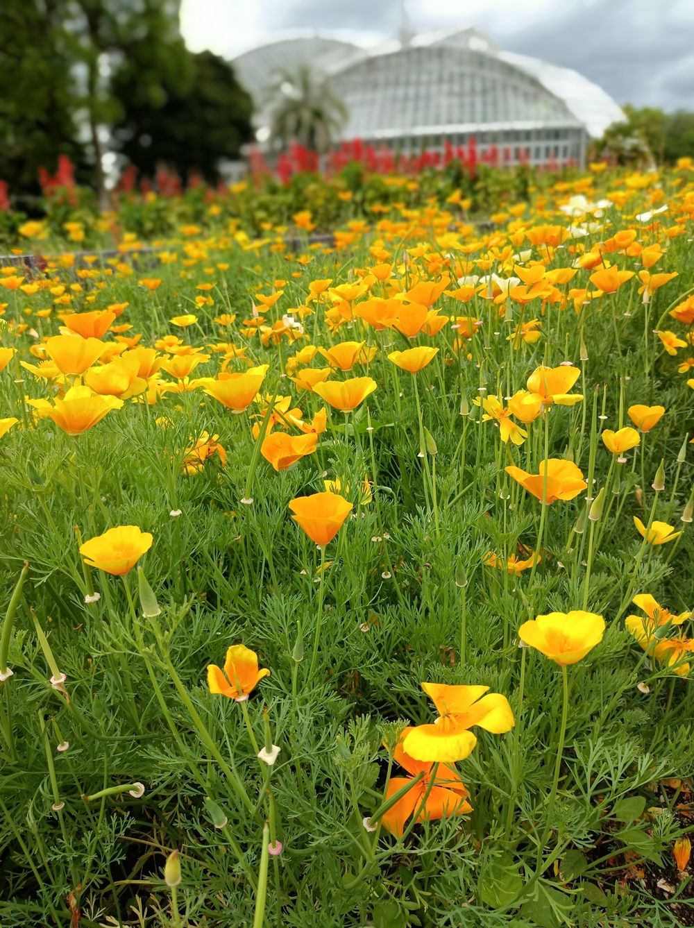 超前教育是否在给孩子喂毒/高玉梅