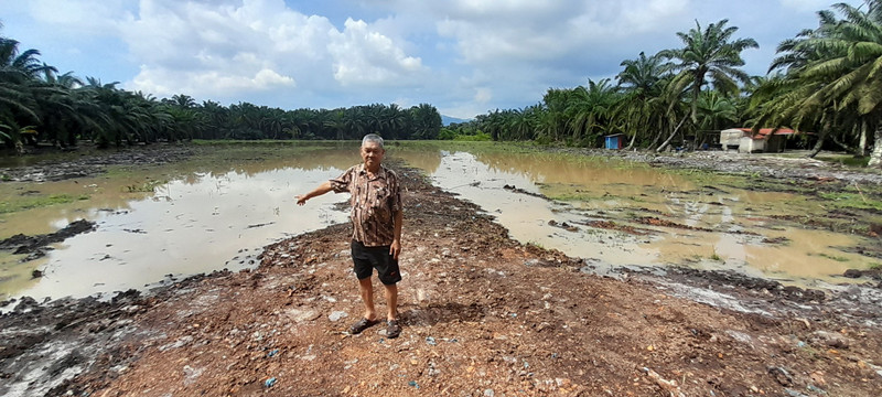 东甲苏落菜园芭 一雨成灾影响农产