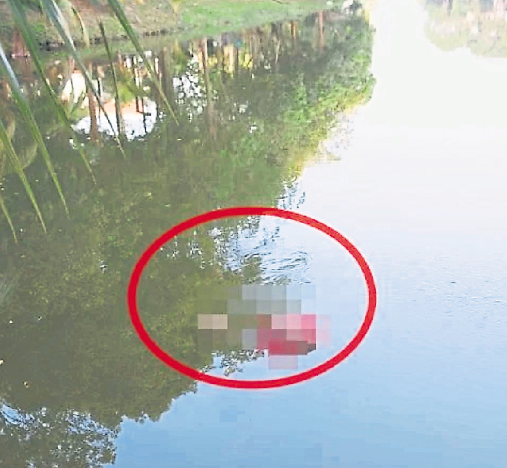 湖滨公园惊现浮尸 死者身穿红色上衣