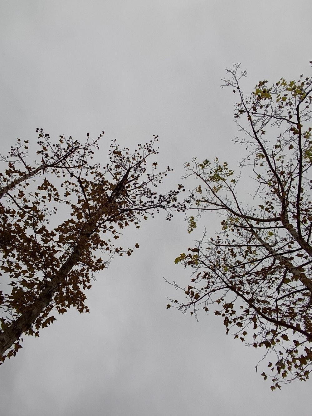 很治愈的事/高玉梅