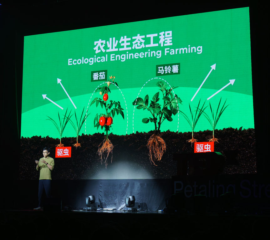 TEDx Petaling Street 葉靜綜(TEDx大會提供)