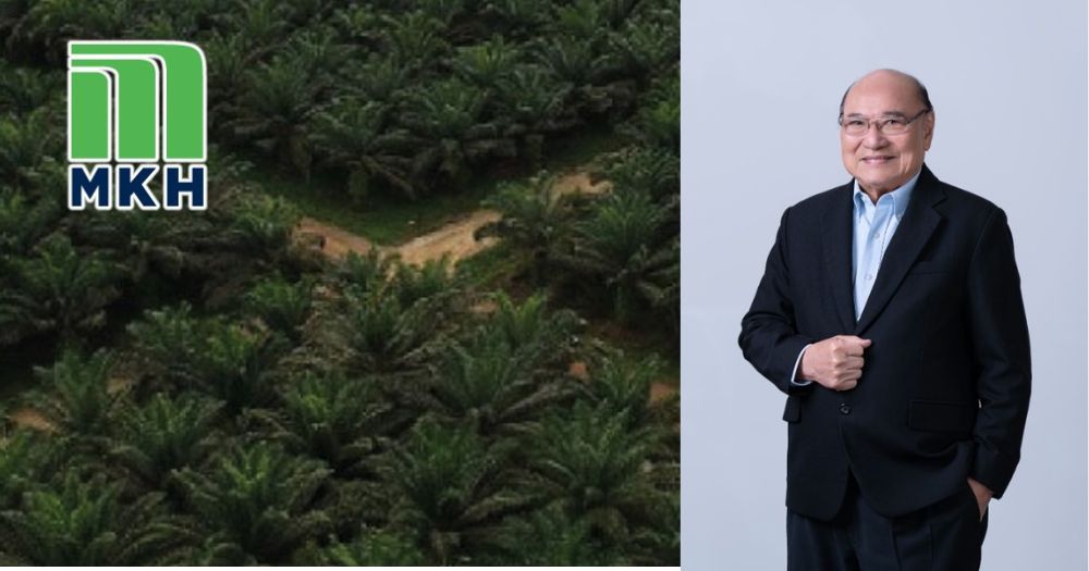 积极回购股票之余 MKH油棕重申50%派息政策