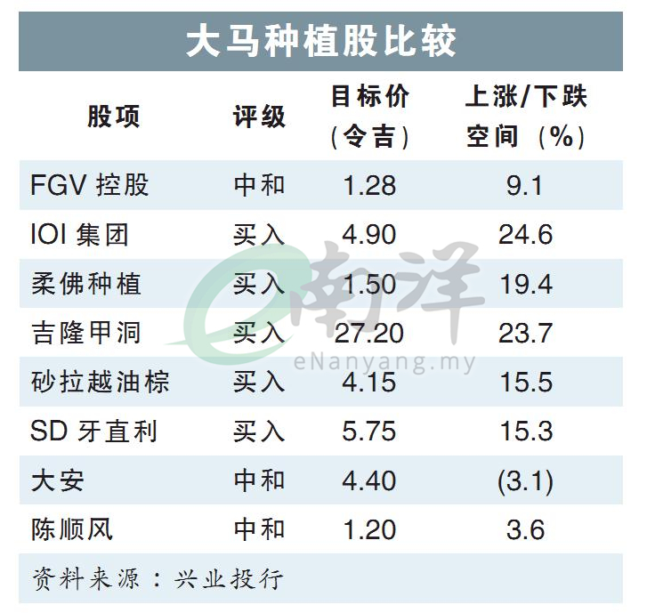 大马种植股比较