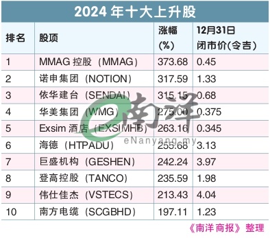 2024年十大上升股