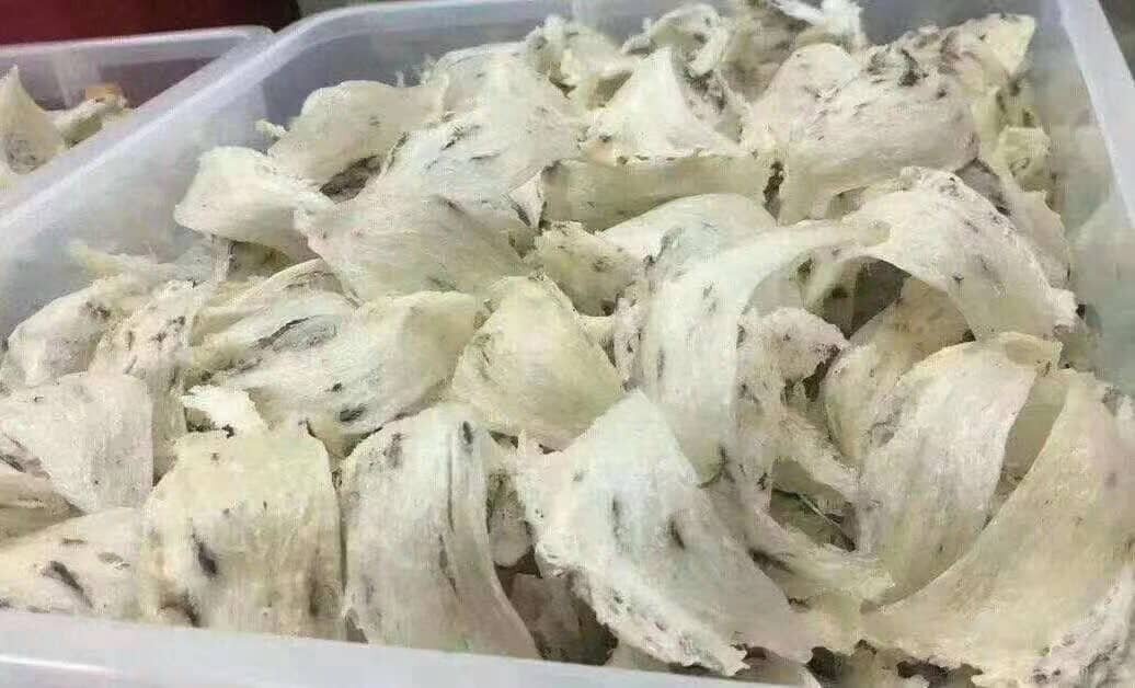 兽医局:遵守两国协议 恢复向华出口食用燕窝