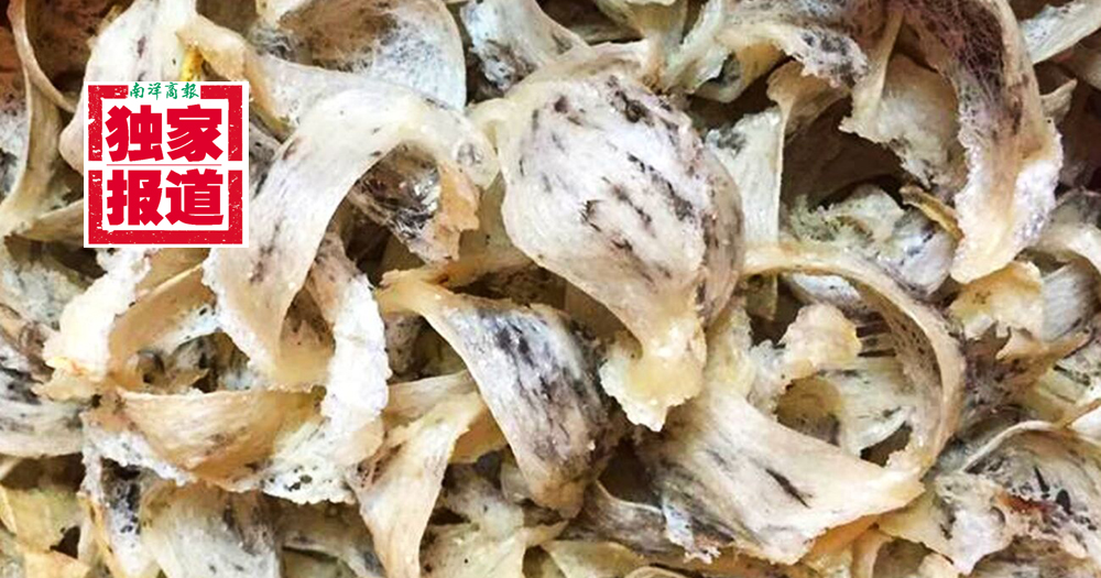 【独家】业者促速跟进中方 禁燕窝输华不应一刀切