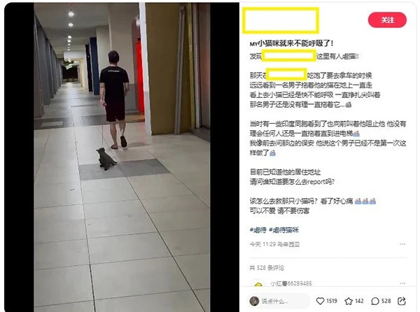 牵绳拖曳虐猫 男子被罚万元