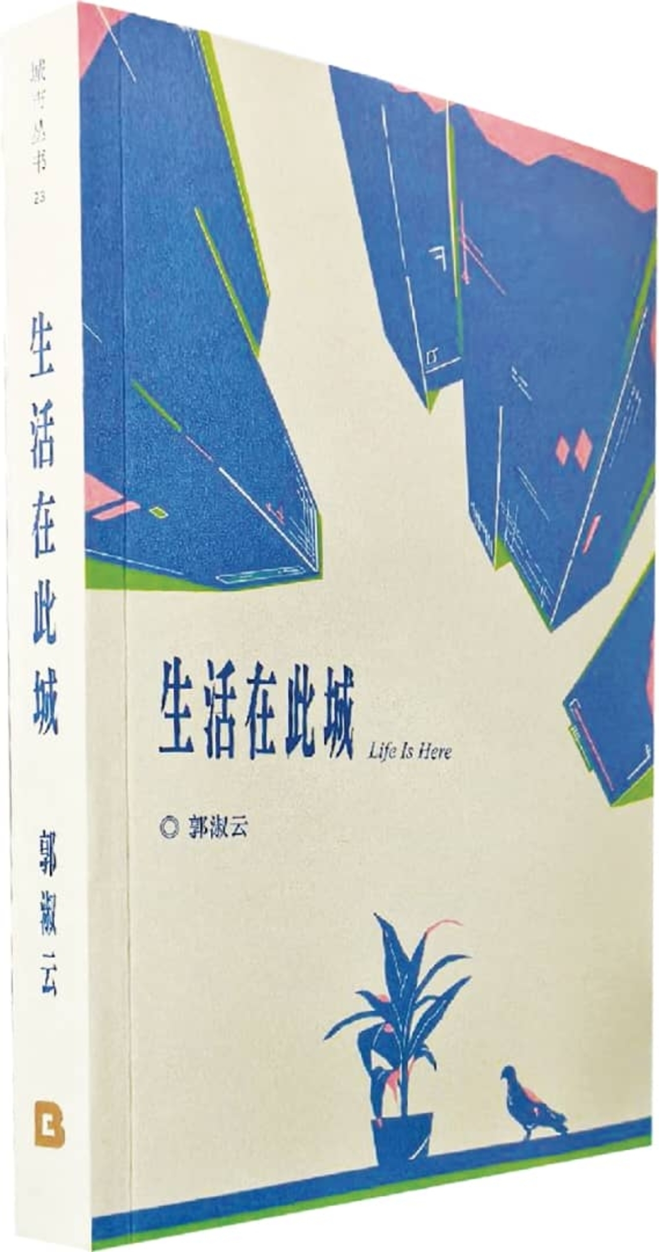 《生活在此城》后记/文戈