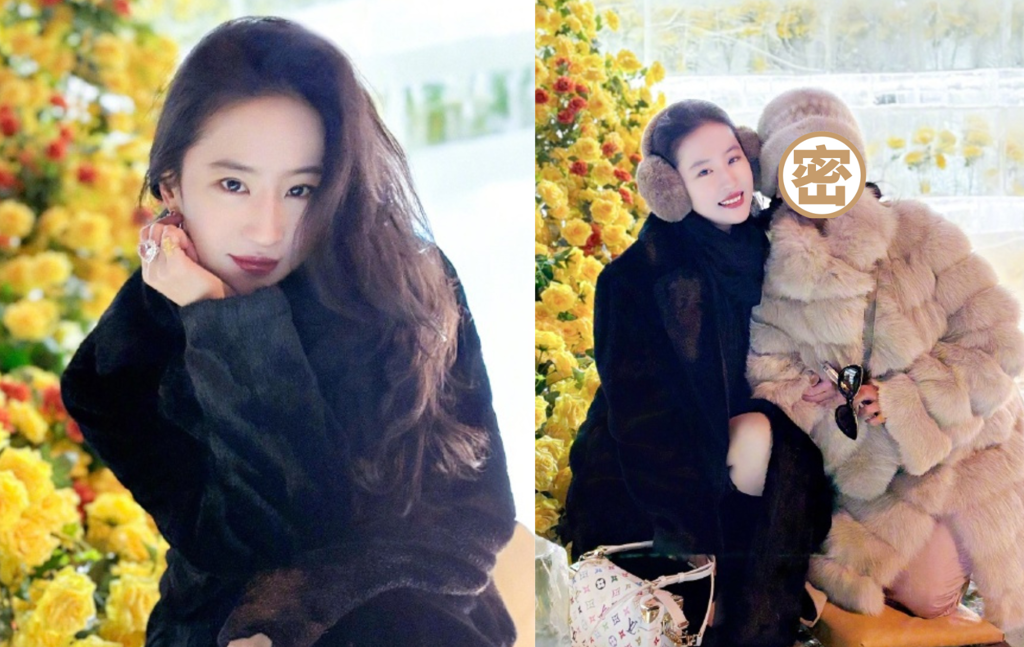 赴哈尔滨看“冰封黄玫瑰” 刘亦菲母女同框被赞如姐妹