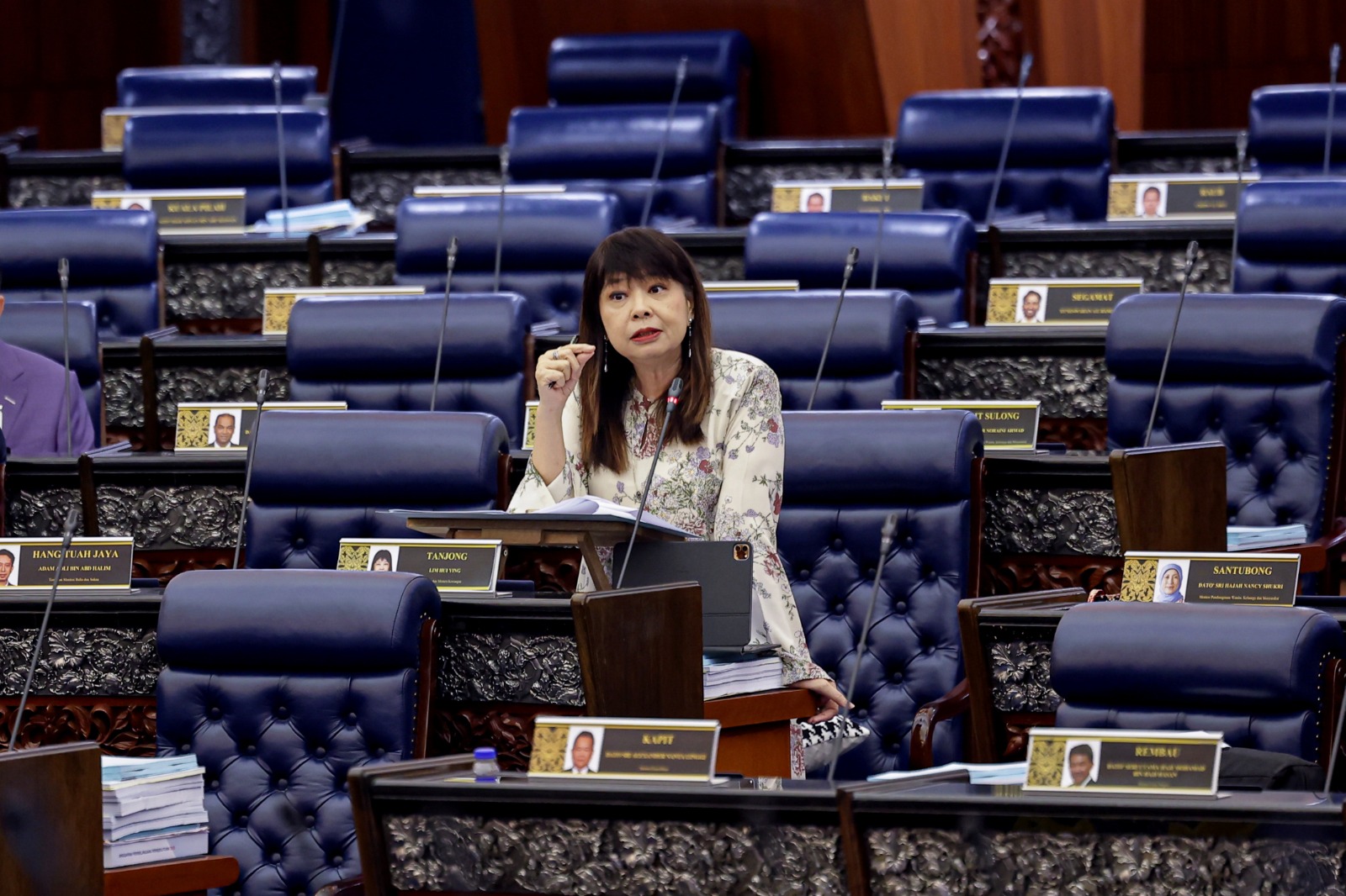 国行无政治名人记录  林慧英:各机构自行管理