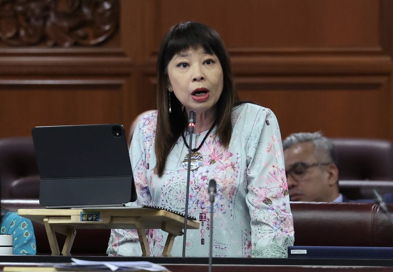 林慧英:推保险补贴 需研究对医疗成本影响