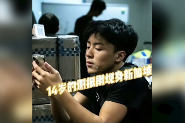 张柏芝二儿子 谢振南
