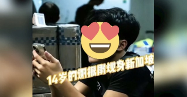 张柏芝二儿子正面照罕见曝光 帅度直逼老爸谢霆锋