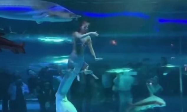 美人鱼遭大鱼咬头受伤 中国水族馆图压下消息