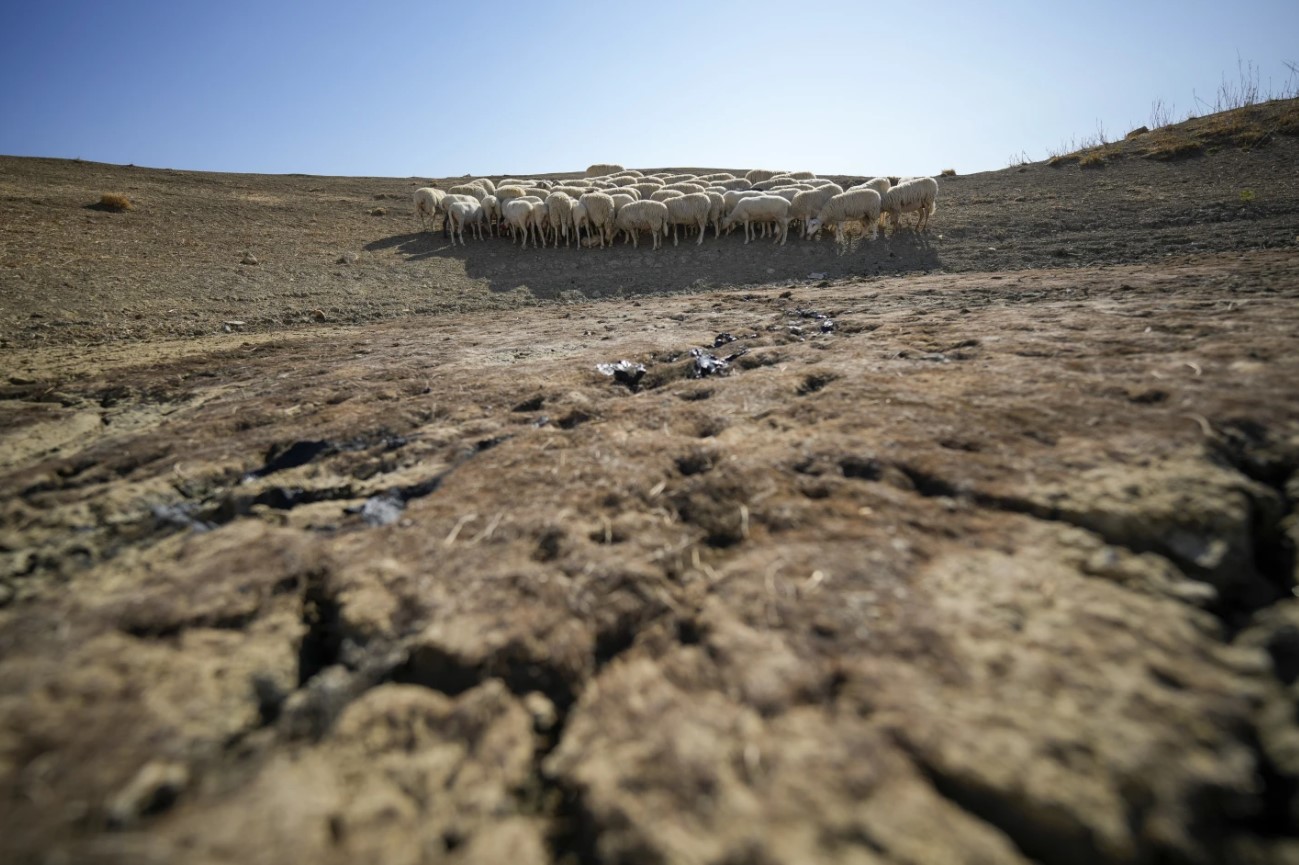 科学家:2070年至2090年 气候危机恐使全球经济规模减半