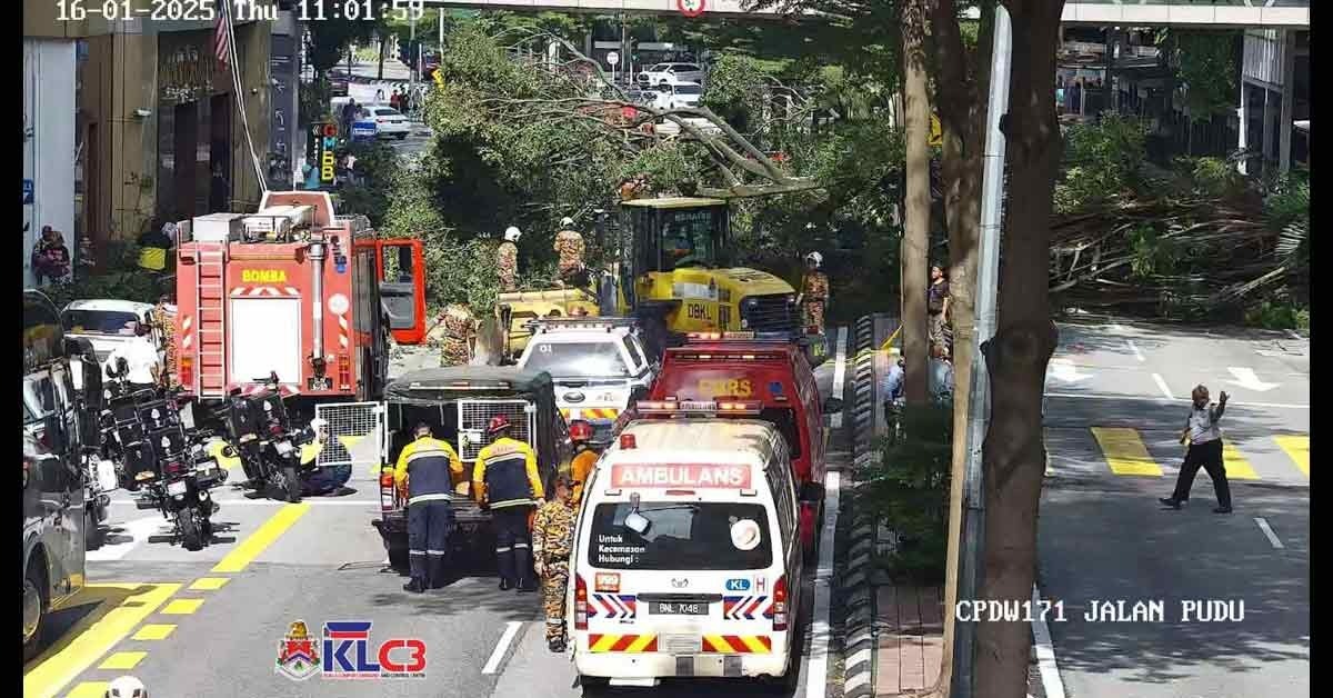 半山芭倒树砸伤2路人 双向车道被挡交通瘫痪