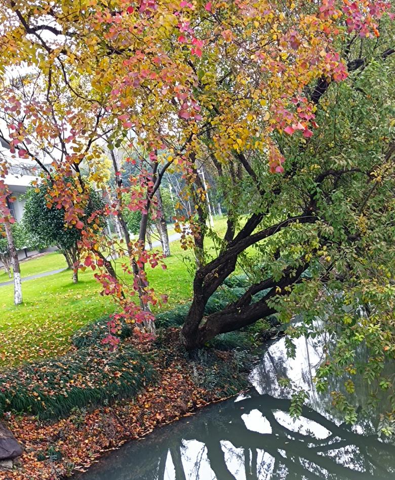 到旷野里闲逛/高玉梅