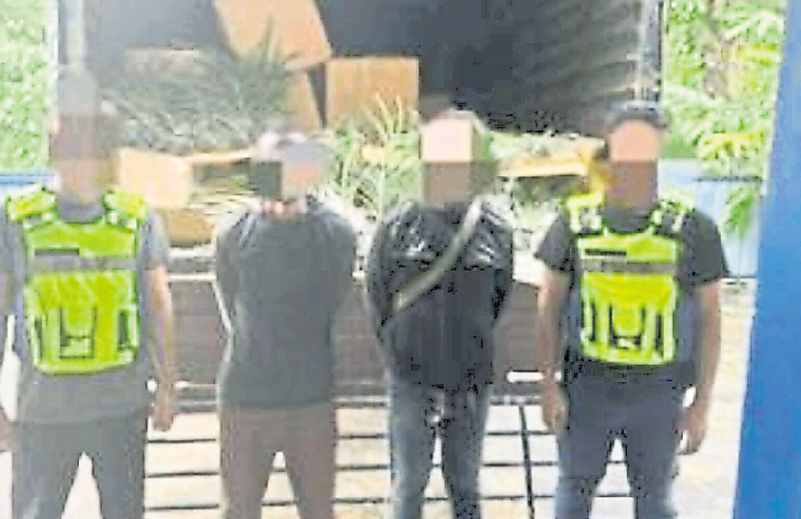 涉及总额90万 警方连破2植物走私案