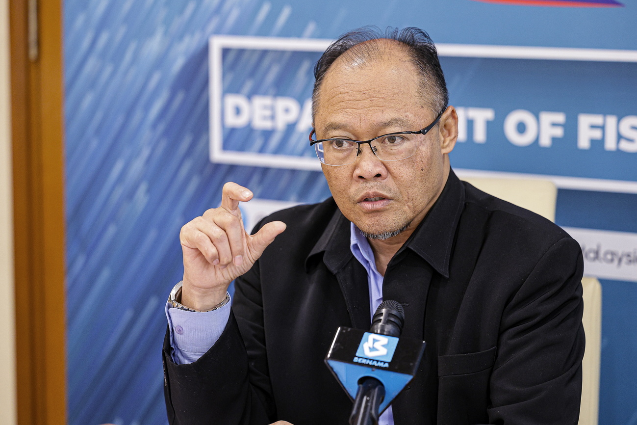渔业局主导区域渔业合作 总监:减少东盟过度捕捞