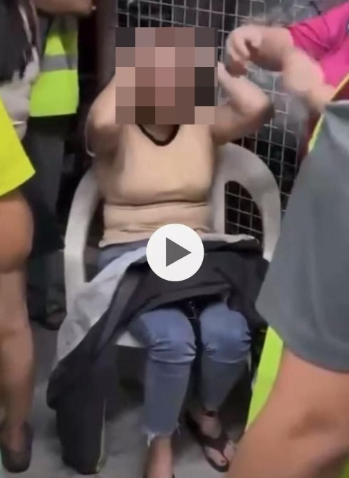 越南女司机疑醉驾闯祸