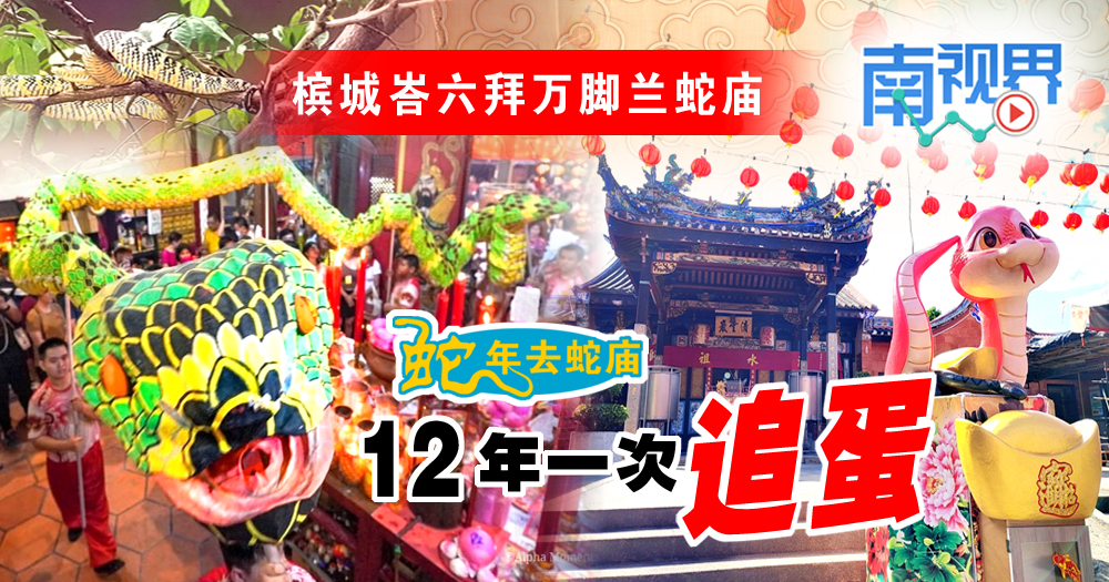 【南视界/蛇年去蛇庙】槟城峇六拜万脚兰蛇庙 12年一次舞蛇“追蛋”