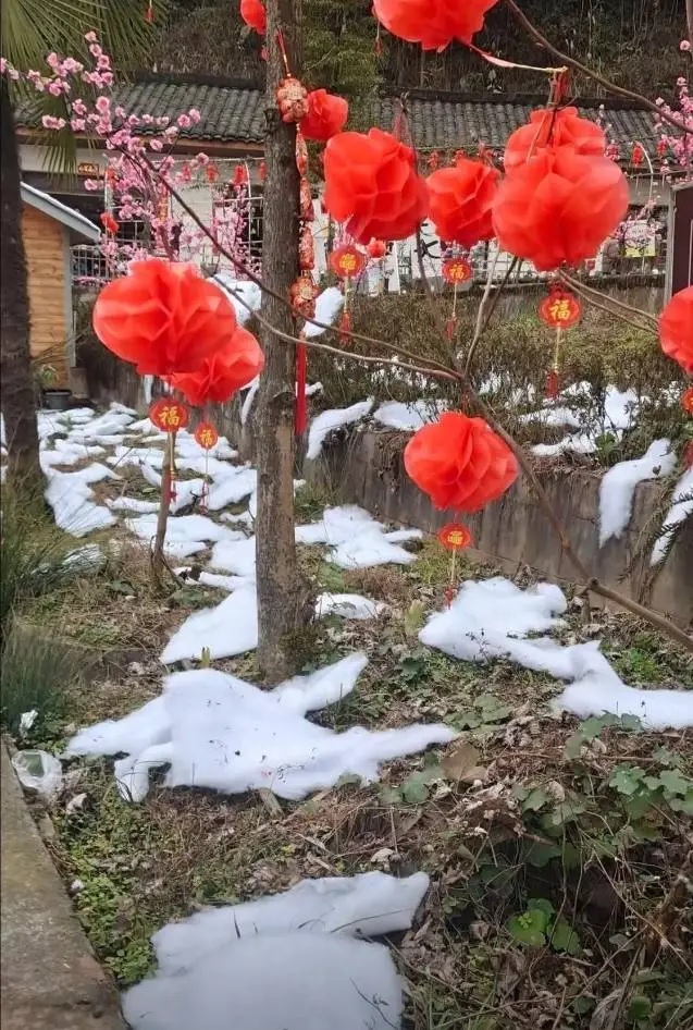“雪村”白雪竟是棉花 四川景区挨轰急关门