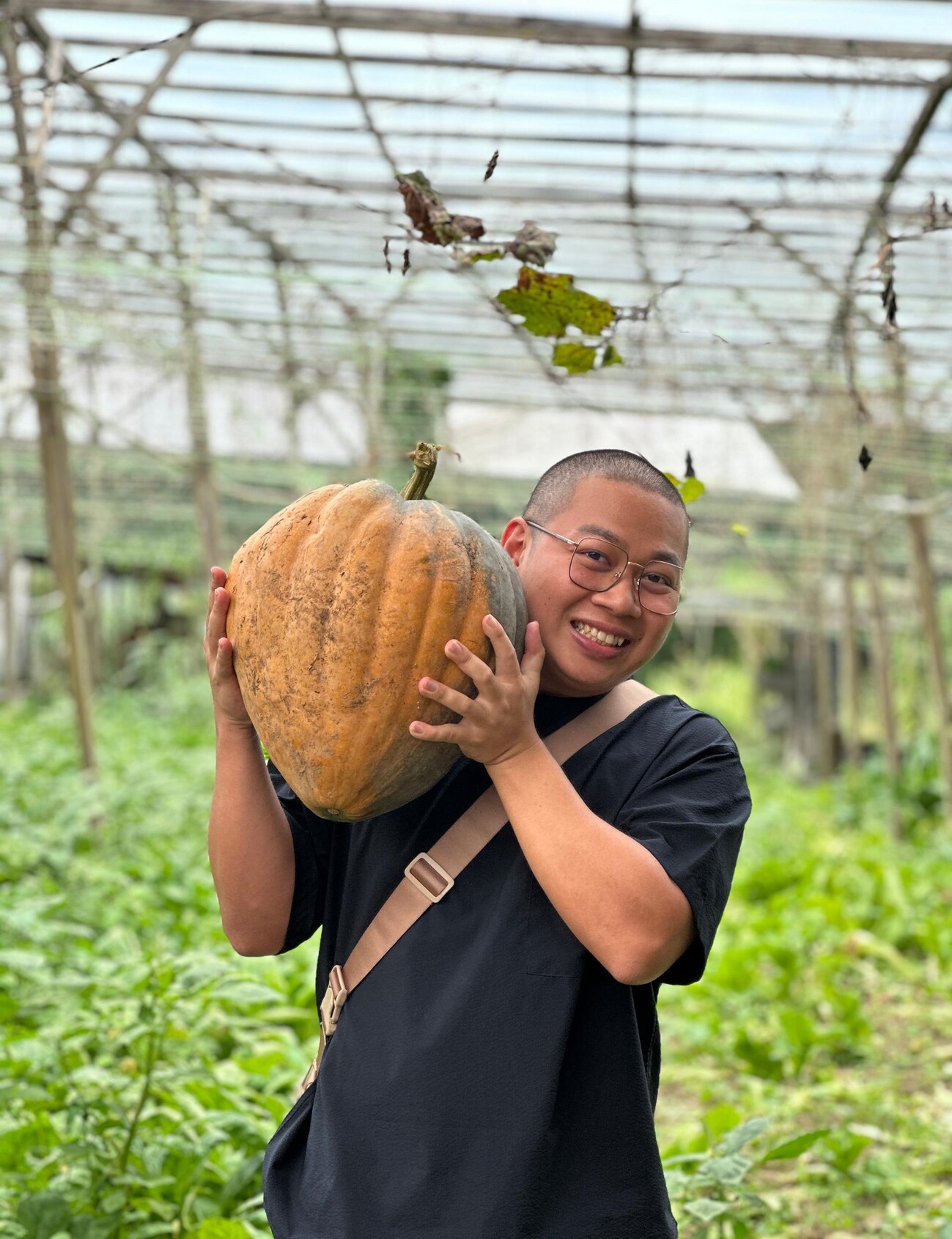 離開馬來堂哥非不和 辰辰轉攻自然農耕