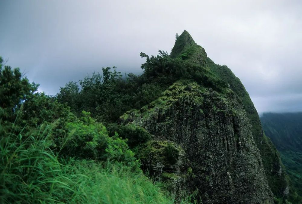夏威夷著名景點“大風口”。