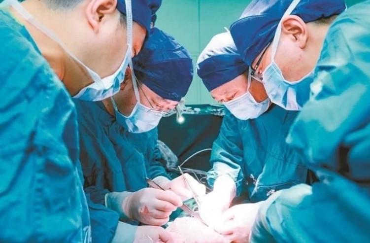 亚洲首例 中国科学家成功基因编辑猪肾移植人体