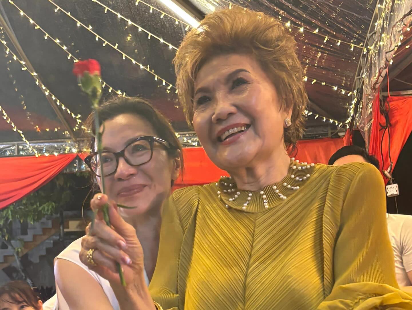 杨紫琼 谭慧珍