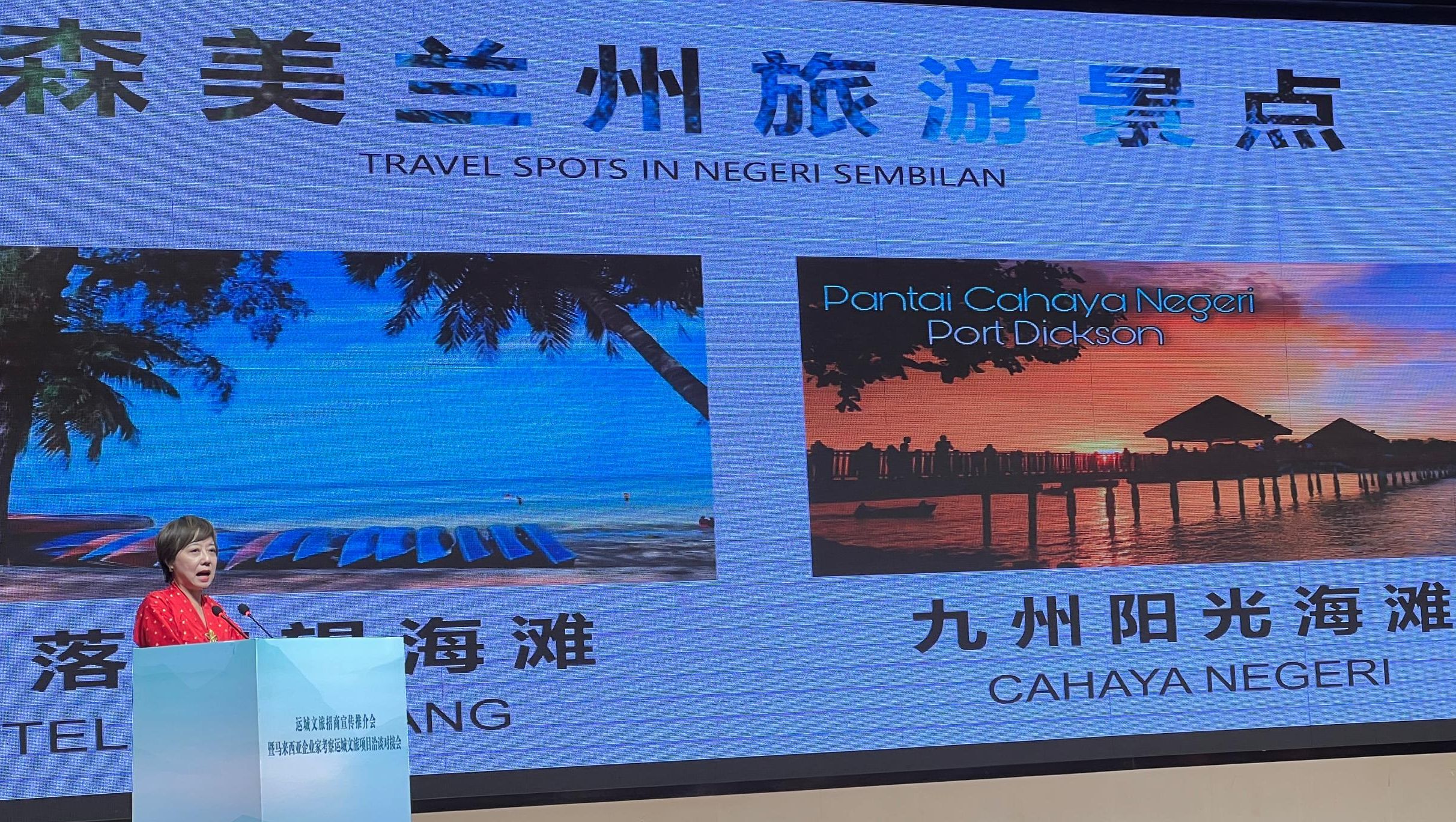 陈丽群