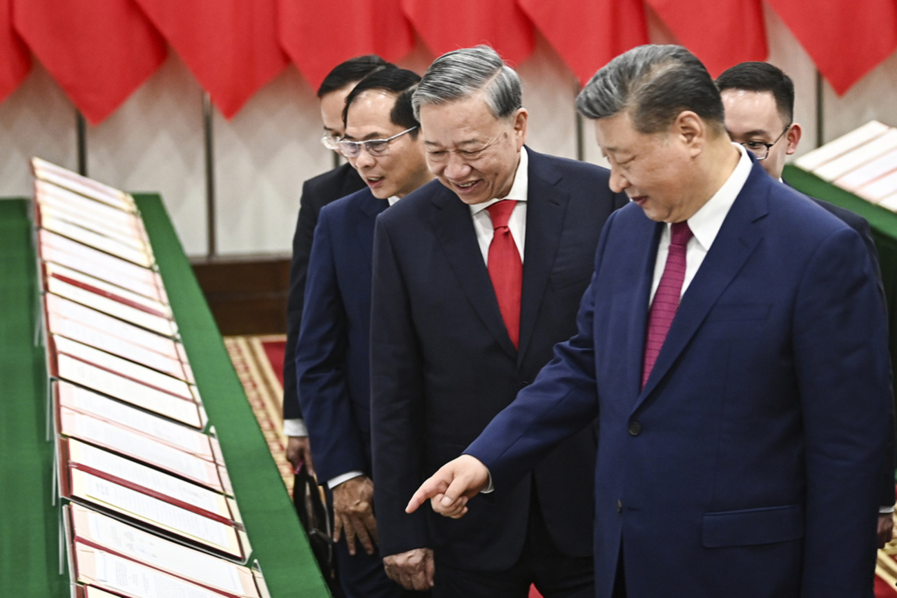 习近平 苏林 中国 越南