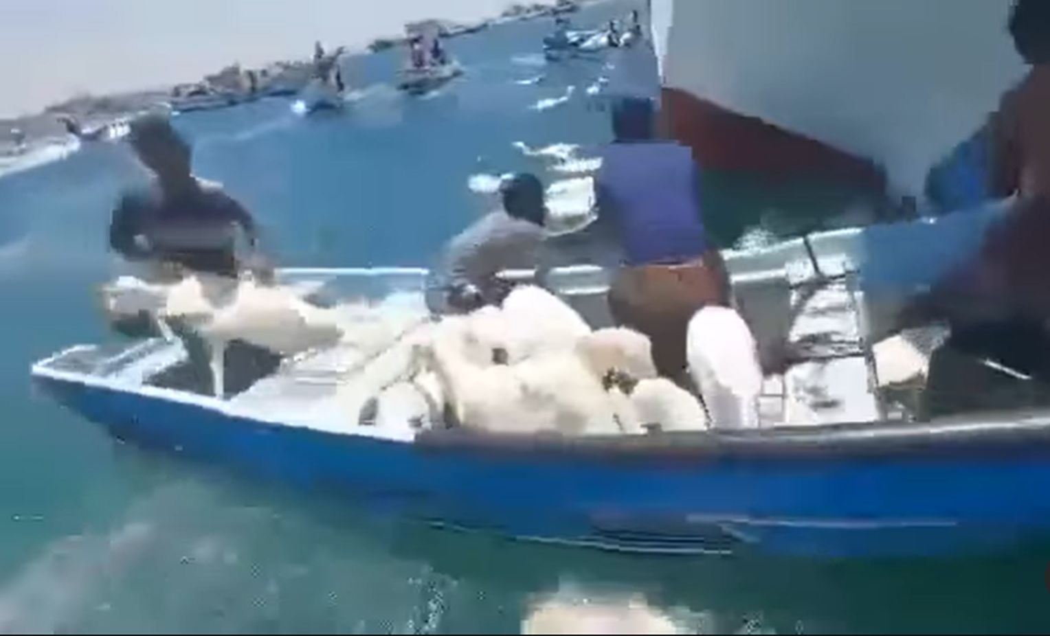 【视频】也门渔夫出海 捞的是羊......