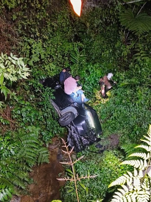 轿车4人坠深山沟 1也门男子骨折