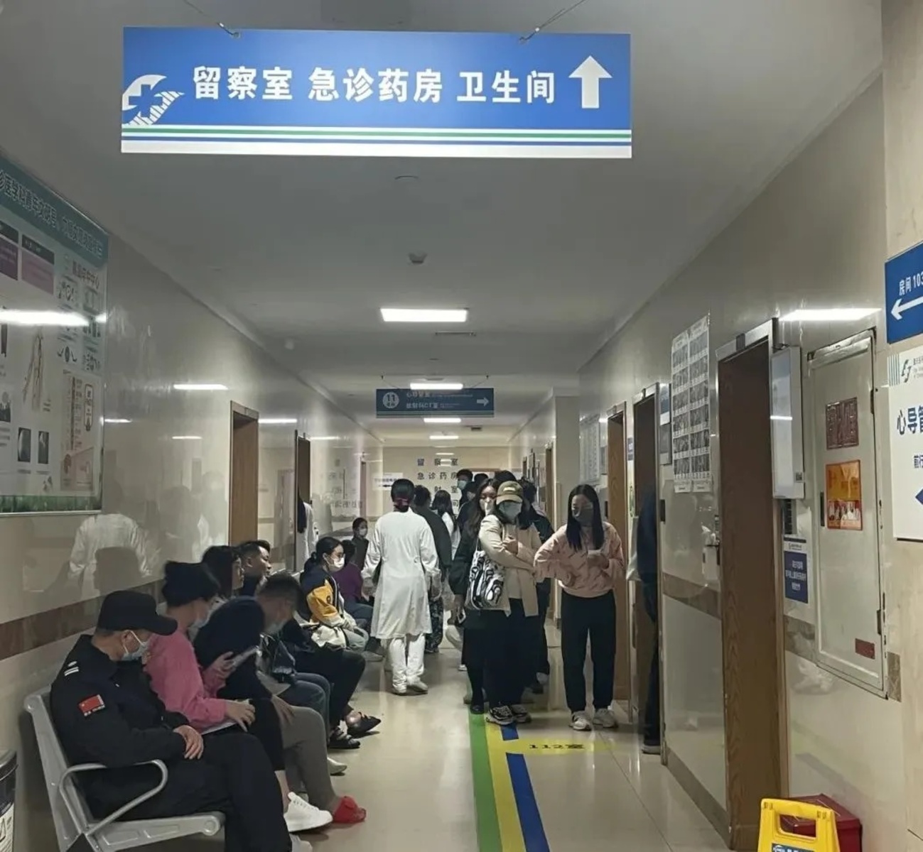 强风吹倒逾800树砸30车 北京部分公交恢复运营