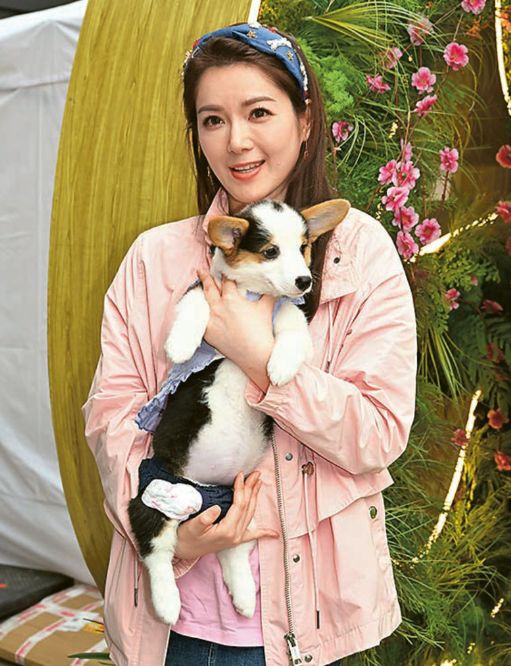 苟芸慧